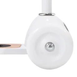 Banwood Step - Pale Mint