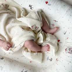 Cam Cam Carousel Swaddle