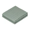 Cam Cam Copenhagen Hydrofiel Luiers Ivy Green 2 Stuks