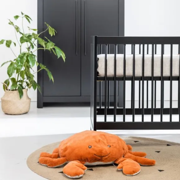 Europe Baby Vittoria III Kledingkast 2-Deurs Zwart