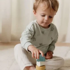 Little Dutch Forest Friends Houten Tuimelaar