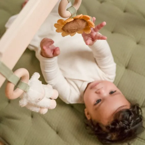Little Dutch Little Farm Babygym