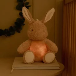 Little Dutch Newborn Knuffelkonijn Licht & Geluid