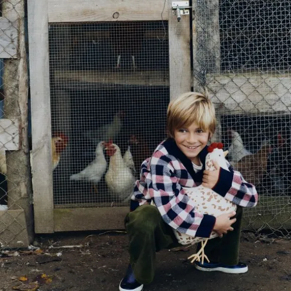 Lorena Canals Kussen – Chicken