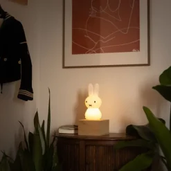 Mr Maria Nijntje Schijnt Lamp - 22 cm - Wit