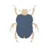 Van Tjalle en Jasper Beetle Muurlamp - Naturel / Blue